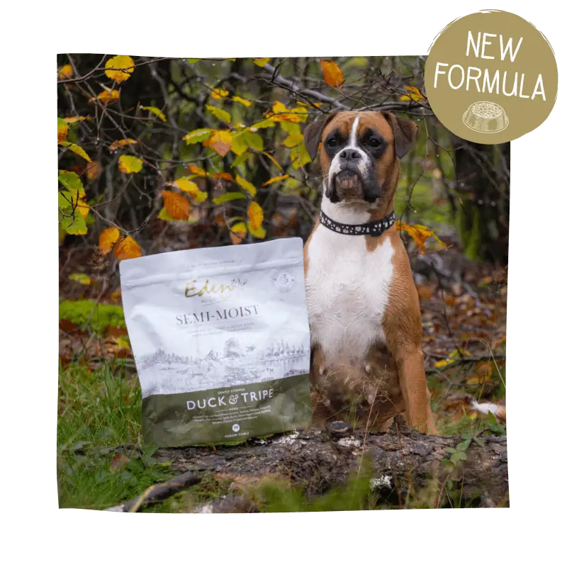 Eden Semi-Moist Duck and Tripe dog food bag with green label and amino acids hydrate text