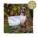 Eden Natural Dog Food Semi-Moist Duck and Tripe