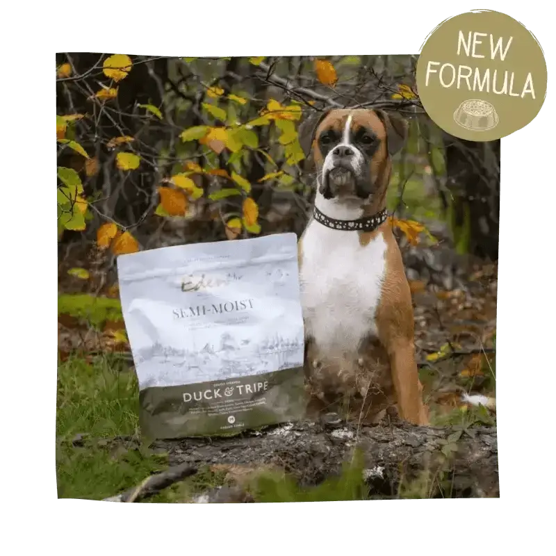 Eden Semi-Moist Duck and Tripe dog food bag with green label and amino acids hydrate text