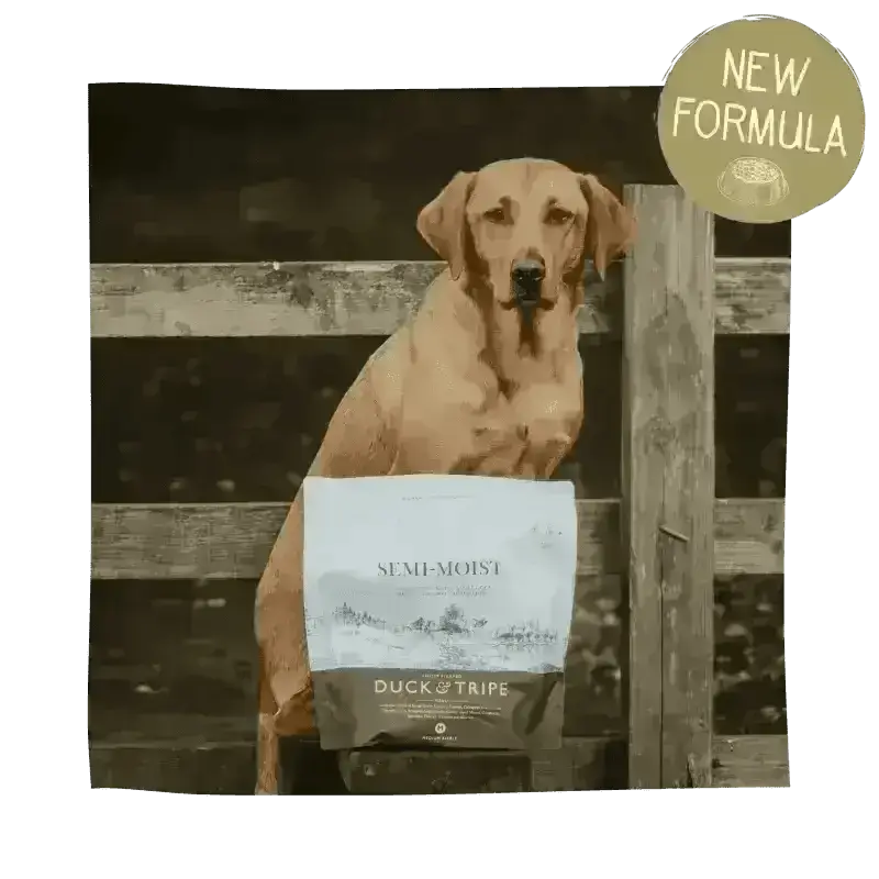 Eden Semi-Moist Duck and Tripe dog food bag with brown and white label and wooden fence