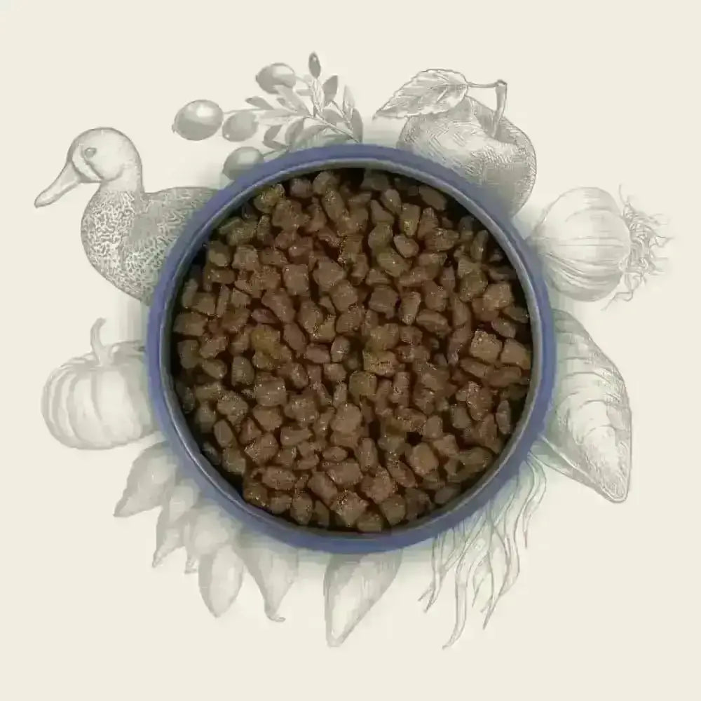 Blue bowl with brown kibble dog food featuring a duck illustration from Eden Semi-Moist Duck and Tripe