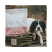 Eden Natural Dog Food Semi-Moist Salmon and Quail