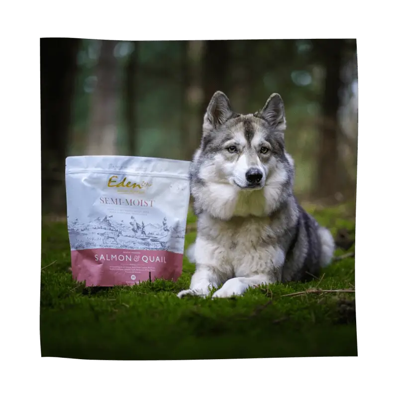 Eden Semi-Moist Salmon and Quail dog food bag with amino acids hydrate for health