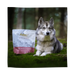 Eden Natural Dog Food Semi-Moist Salmon and Quail