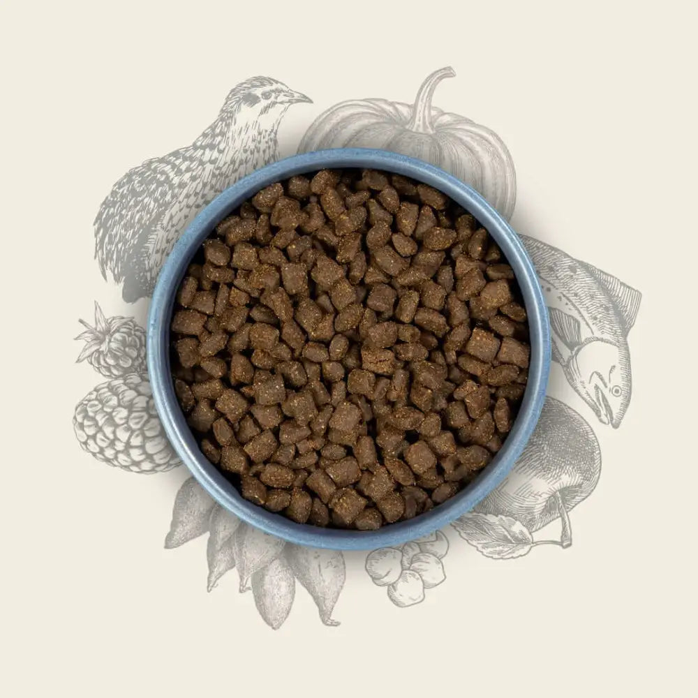 Brown kibble dog food bowl with blue rim and white interior for Eden Semi-Moist Salmon and Quail with amino acids hydrate