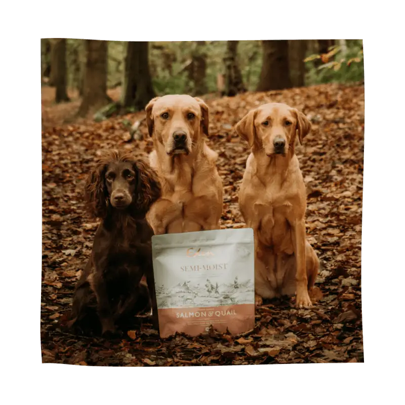 Salmon and quail dog food bag with elegant white label for Eden Semi-Moist Salmon and Quail featuring amino acids hydrate