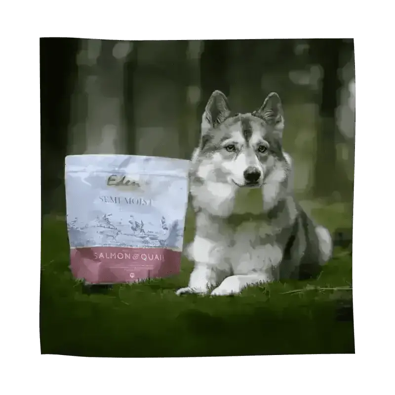 Eden Semi-Moist Salmon and Quail dog food bag with amino acids hydrate for health