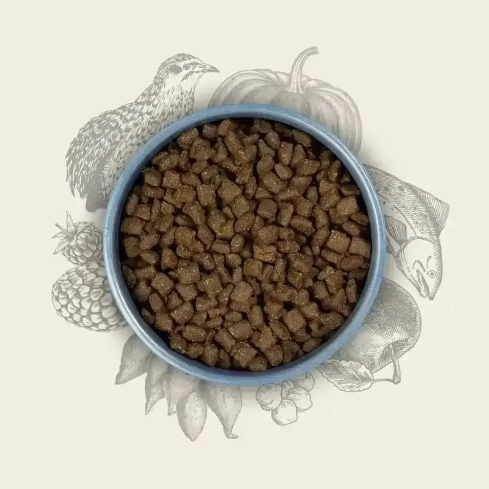 Brown kibble dog food bowl with blue rim and white interior for Eden Semi-Moist Salmon and Quail with amino acids hydrate