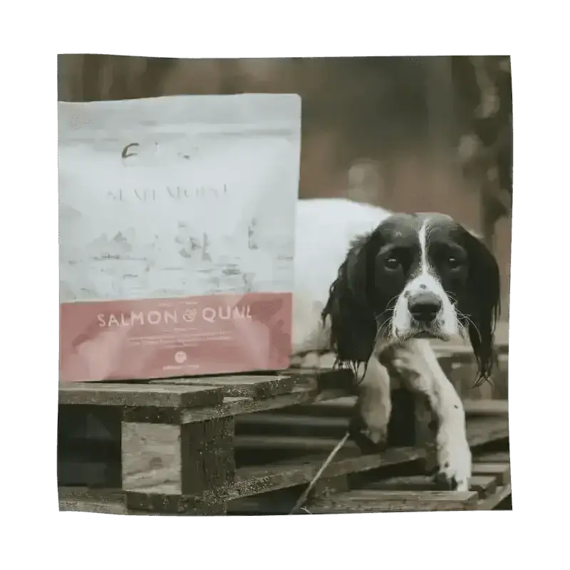 Eden Semi-Moist Salmon and Quail dog food bag with black-and-white Spaniel, rich in amino acids hydrate