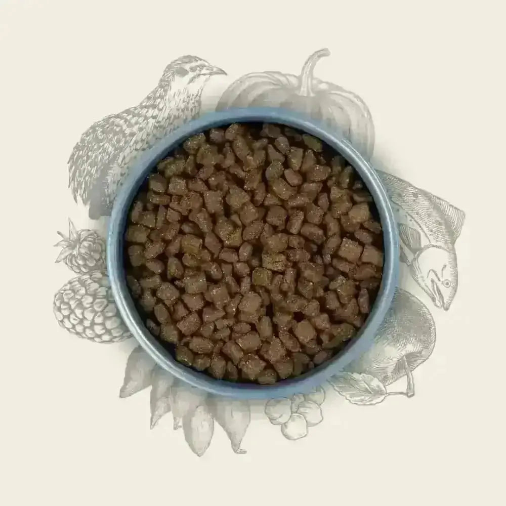 Brown kibble dog food bowl with blue rim and white interior for Eden Semi-Moist Salmon and Quail with amino acids hydrate