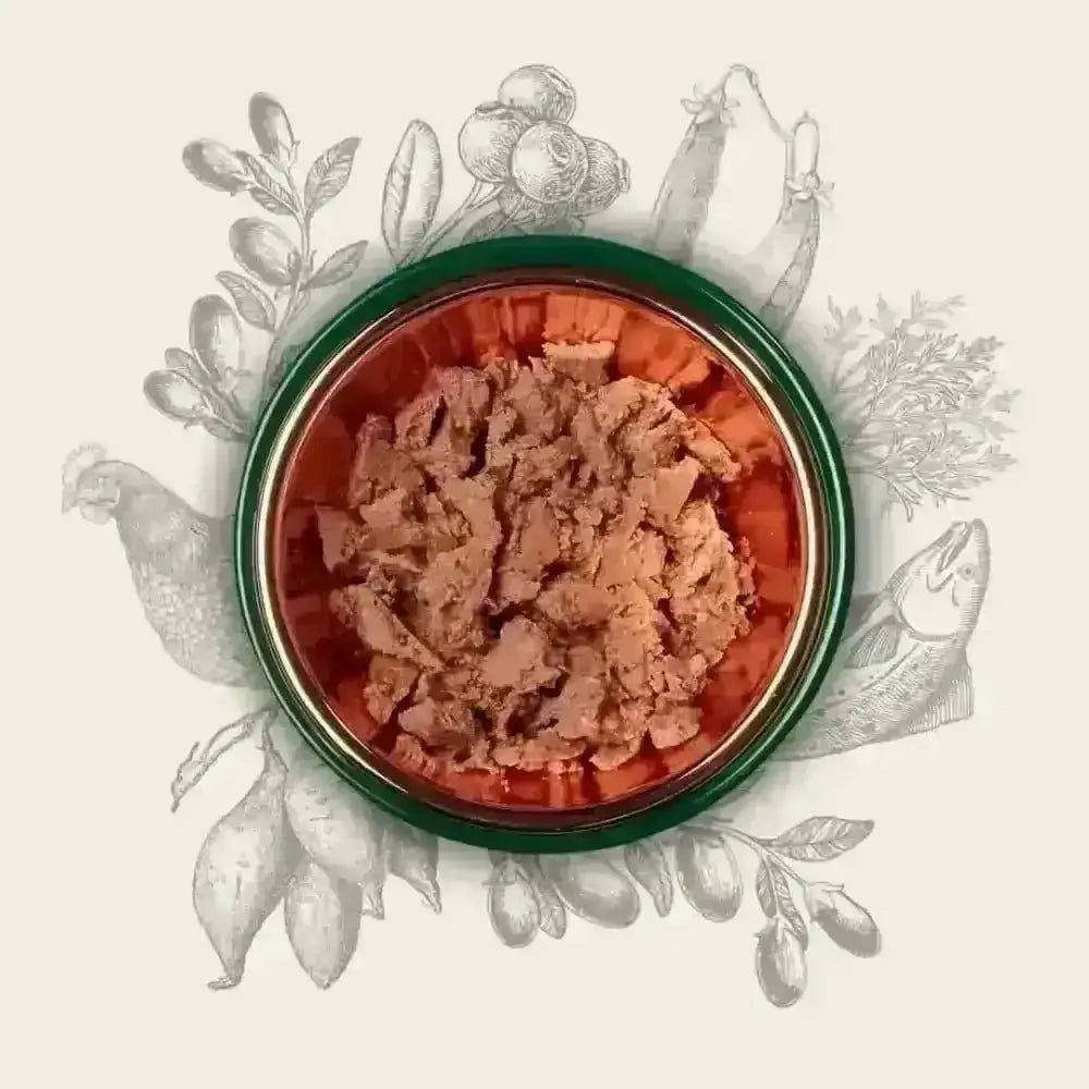 Red and green pet food bowl with meat chunks for Eden Original Cuisine for cats