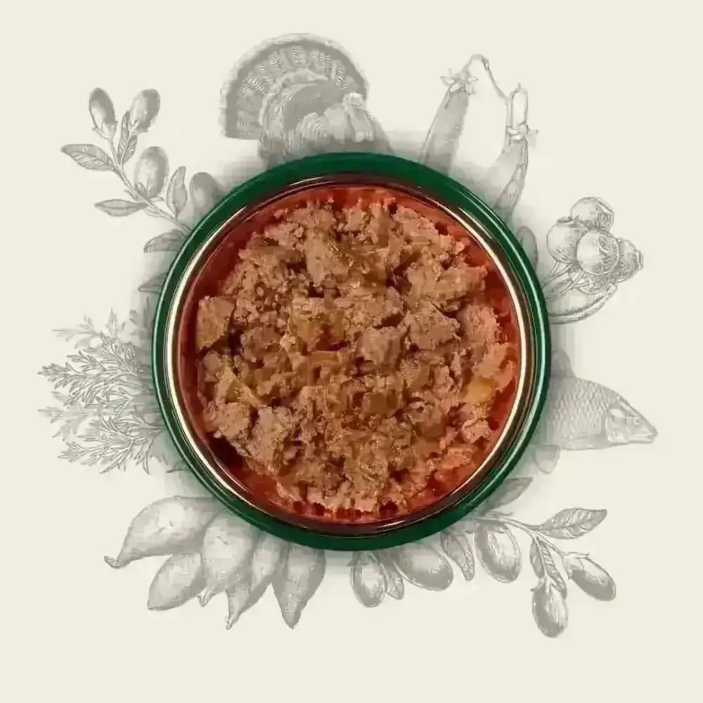 Green rimmed bowl of Eden Turkey and Herring wet food for cats with textured brown food and red sauce