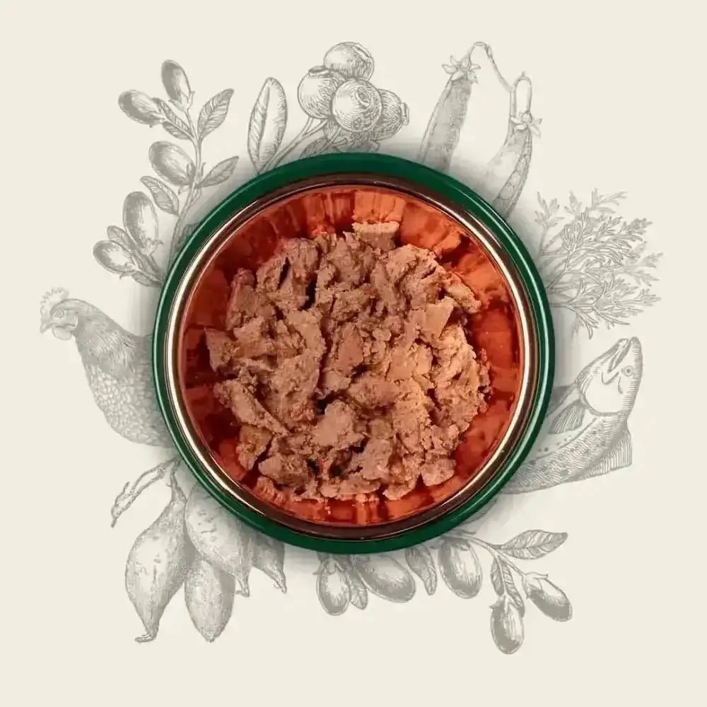 Red and green pet food bowl with meat chunks for Eden Original Cuisine for cats