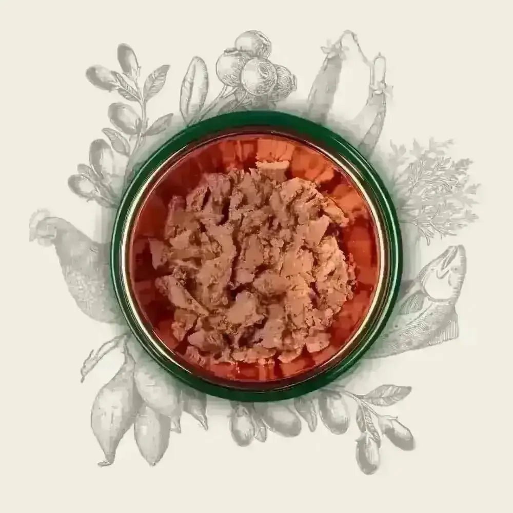 Red and green pet food bowl with meat chunks for Eden Original Cuisine for cats