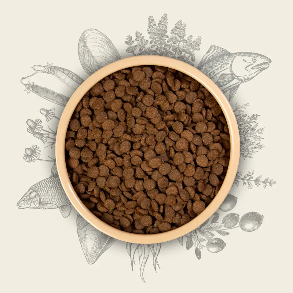 Eden Working Dog Fish Cuisine 15kg kibble bowl with amino acids