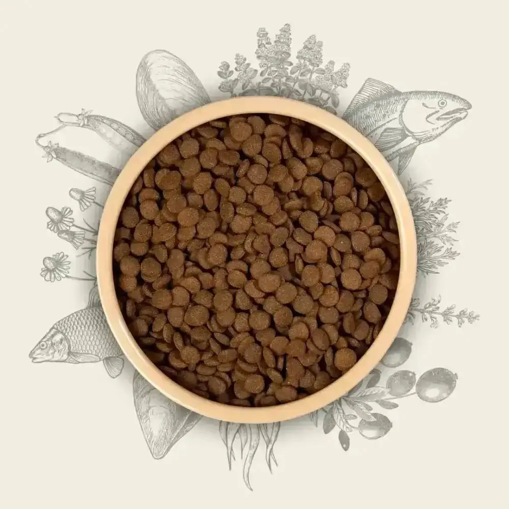 Eden Working Dog Fish Cuisine 15kg kibble bowl with amino acids