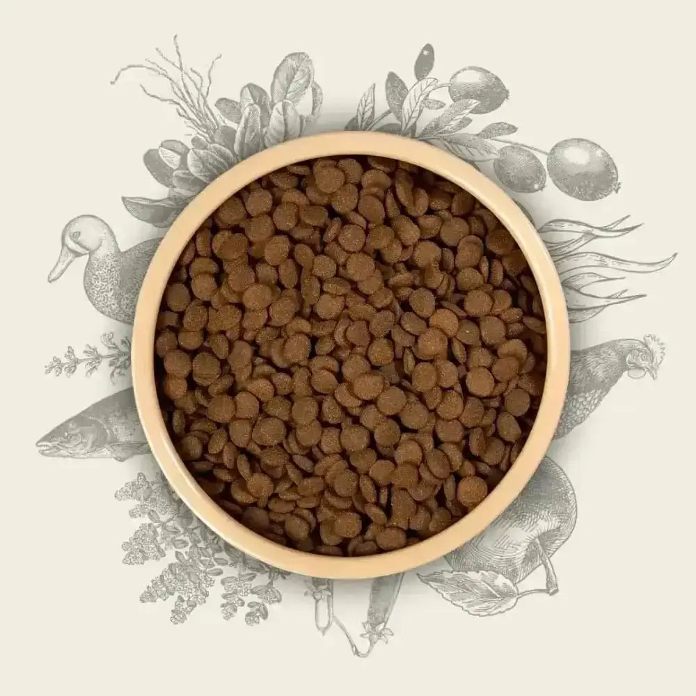 Eden Working Dog Original Cuisine 15kg brown bowl with kibble and amino acids
