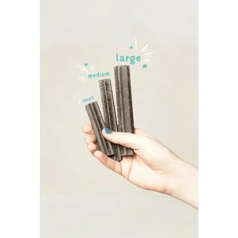 Hand holding charcoal-colored Edgard & Cooper mint sticks for dogs