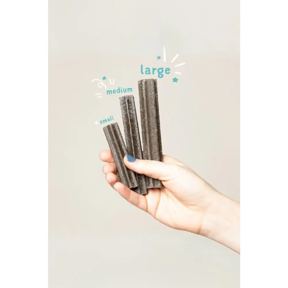 Edgard & Cooper Strawberry & Mint Sticks for dogs | Vegetable chews for dogs