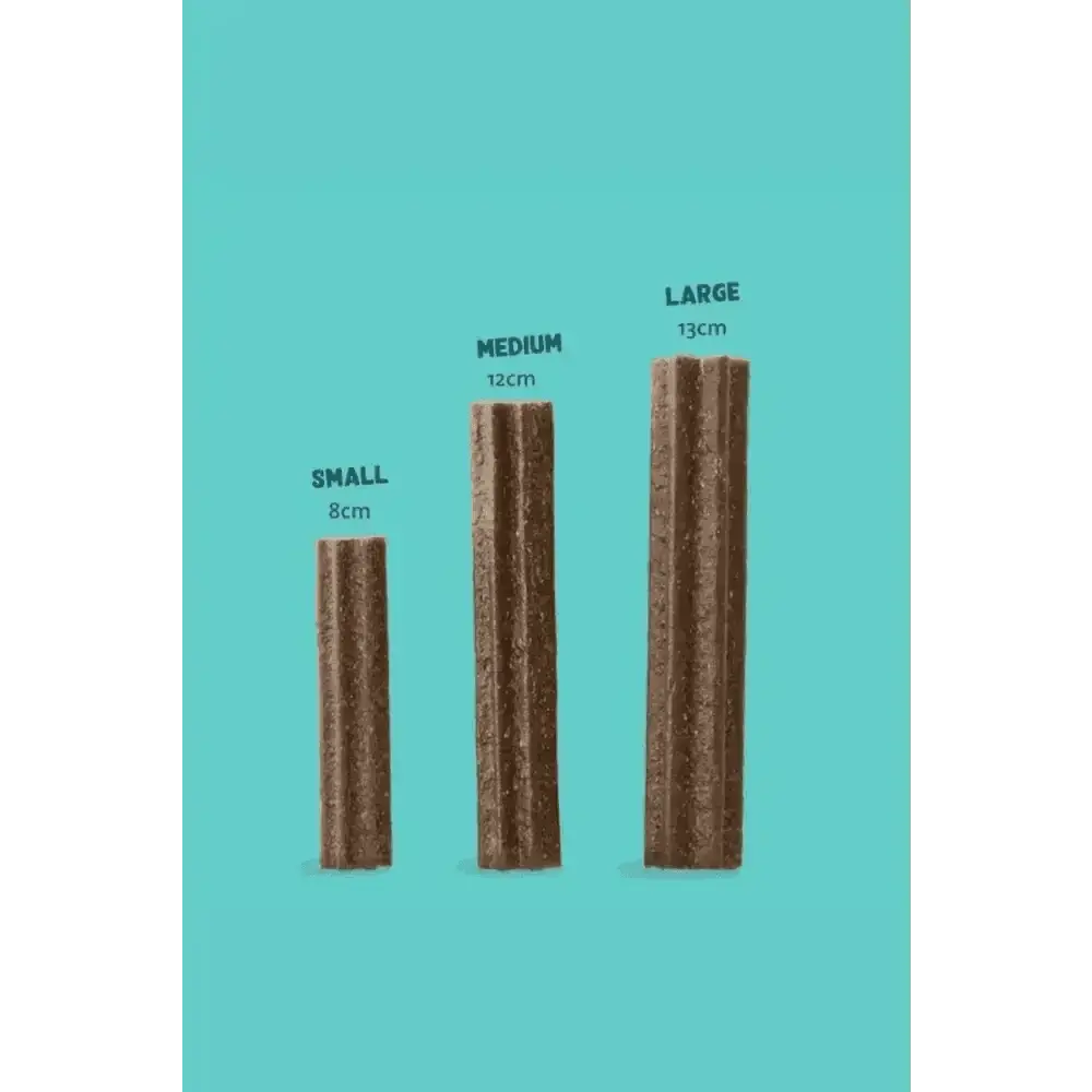 Edgard & Cooper grain free recipe dog dental sticks in small, medium, large brown textured sizes with apple and eucalyptus