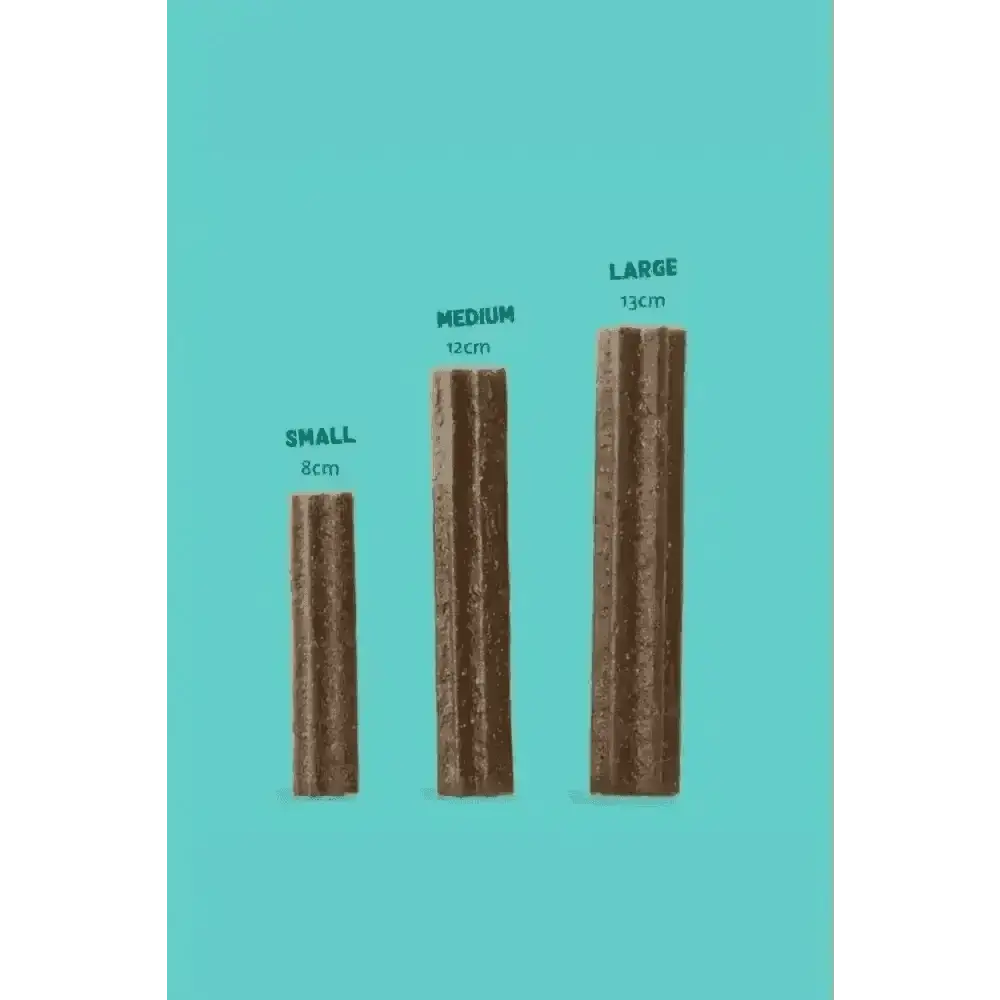 Edgard & Cooper grain free recipe dog dental sticks in small, medium, large brown textured sizes with apple and eucalyptus