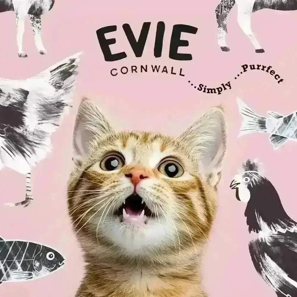 Evie Natural Dry Cat Food Duck with Sardines Weight Control - Cat Food - Dry