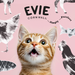 Evie Natural Dry Cat Food Duck with Sardines Weight Control - Cat Food - Dry