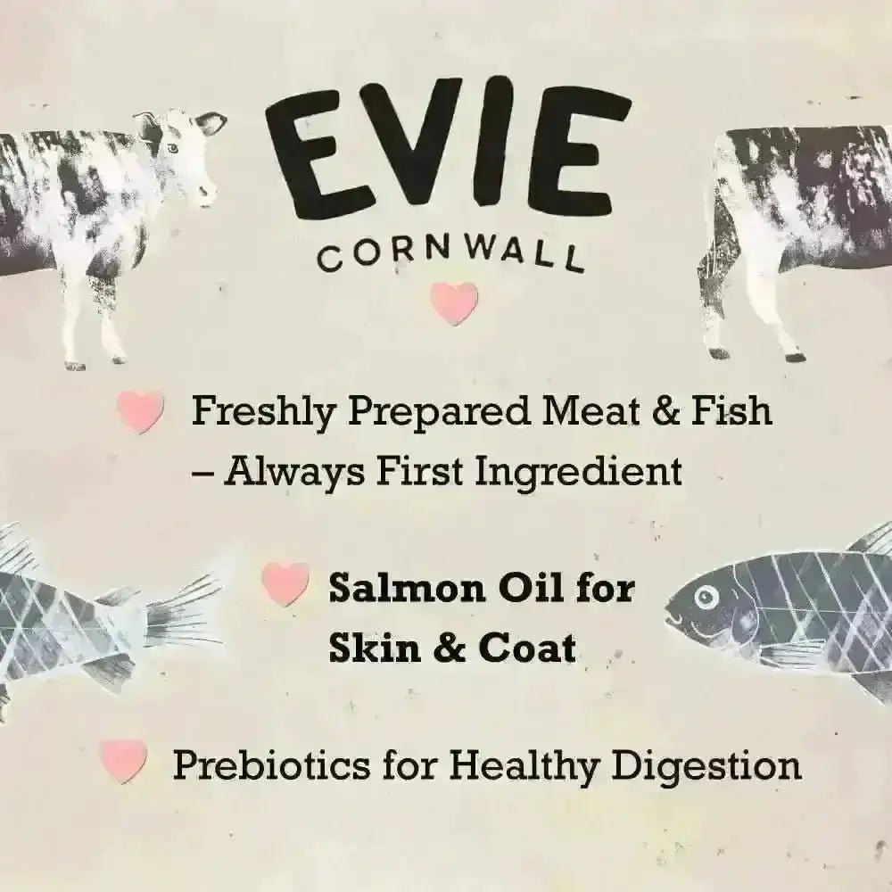 Evie Cornwall dog food bag with heart illustrations highlighting healthy ingredients including white fish