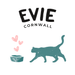 Evie Natural Dry Cat Food Taste Tester 100g - Cat Food - Dry