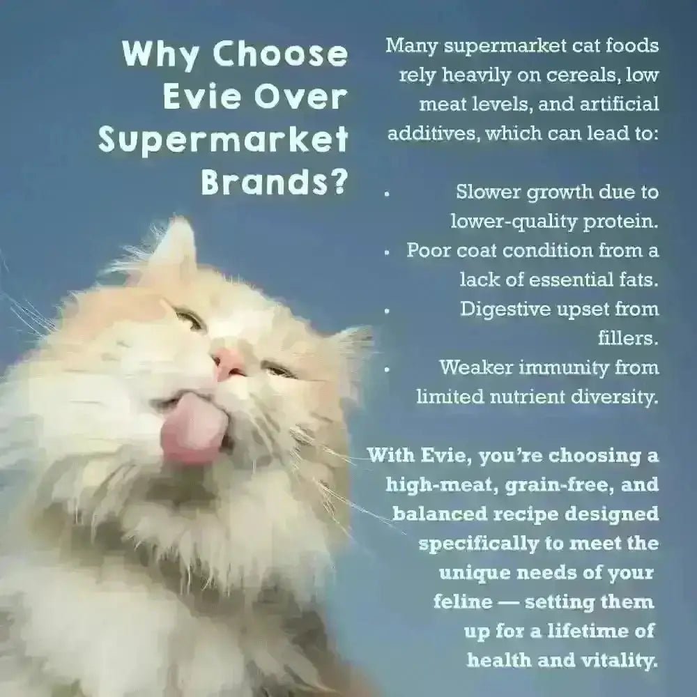 Evie Natural Dry Cat Food Turkey With Chicken - Cat Food - Dry