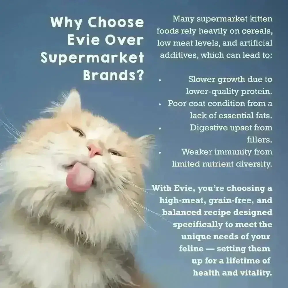 Evie Natural Dry Kitten Food with freshly prepared deboned turkey and chicken