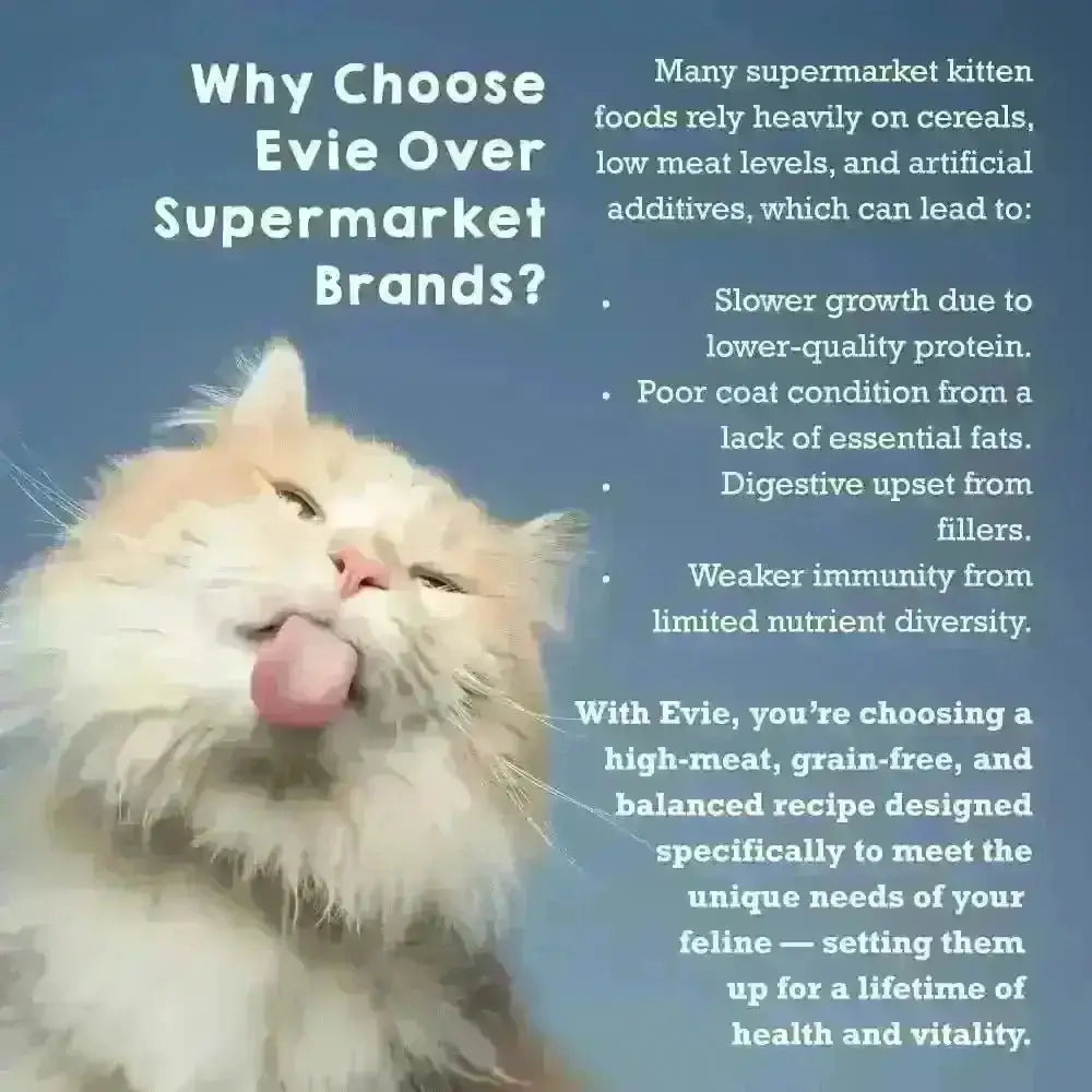 Evie Natural Dry Kitten Food with freshly prepared deboned turkey and chicken