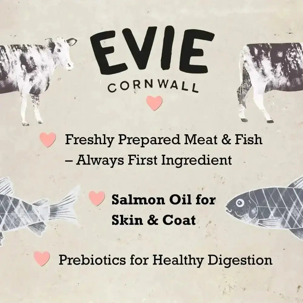 Evie Natural Dry Kitten Food with prepared deboned turkey, heart illustrations