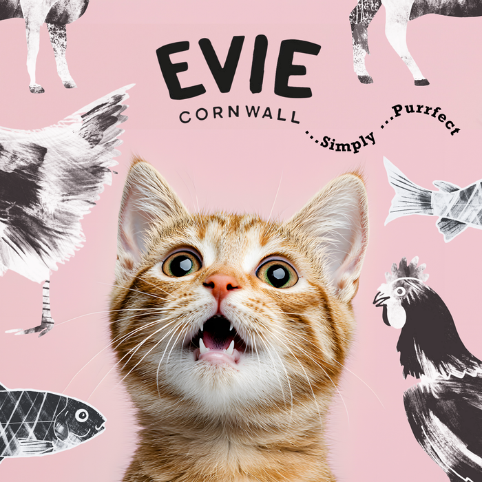Evie Natural Dry Kitten Food Turkey With Chicken - Cat Food - Dry
