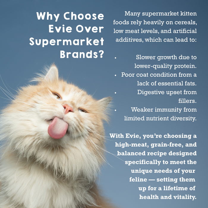 Evie Natural Dry Cat Food Turkey With Chicken