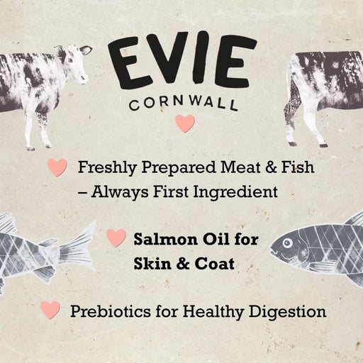 Evie Natural Dry Kitten Food Turkey With Chicken - Cat Food - Dry