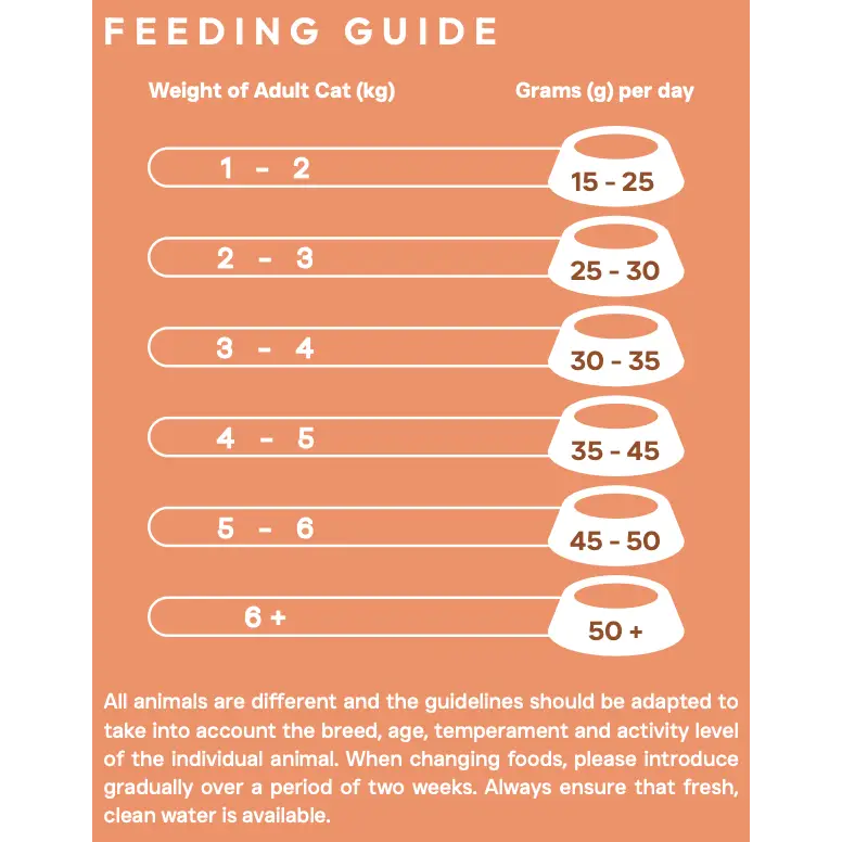 Evie Urinary Care - Cat Food - Dry | Natural Pet Shop