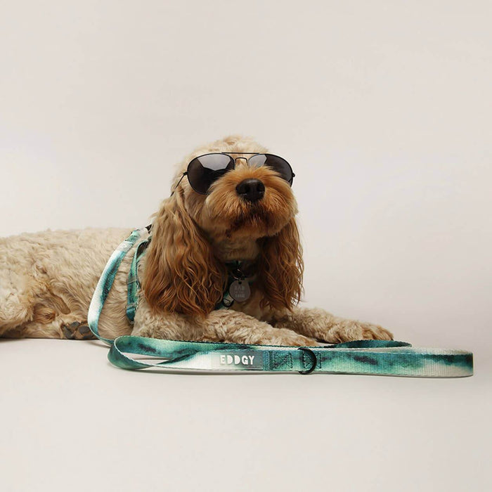 EDDGY Eco Dog Fashion Lead - Maximus