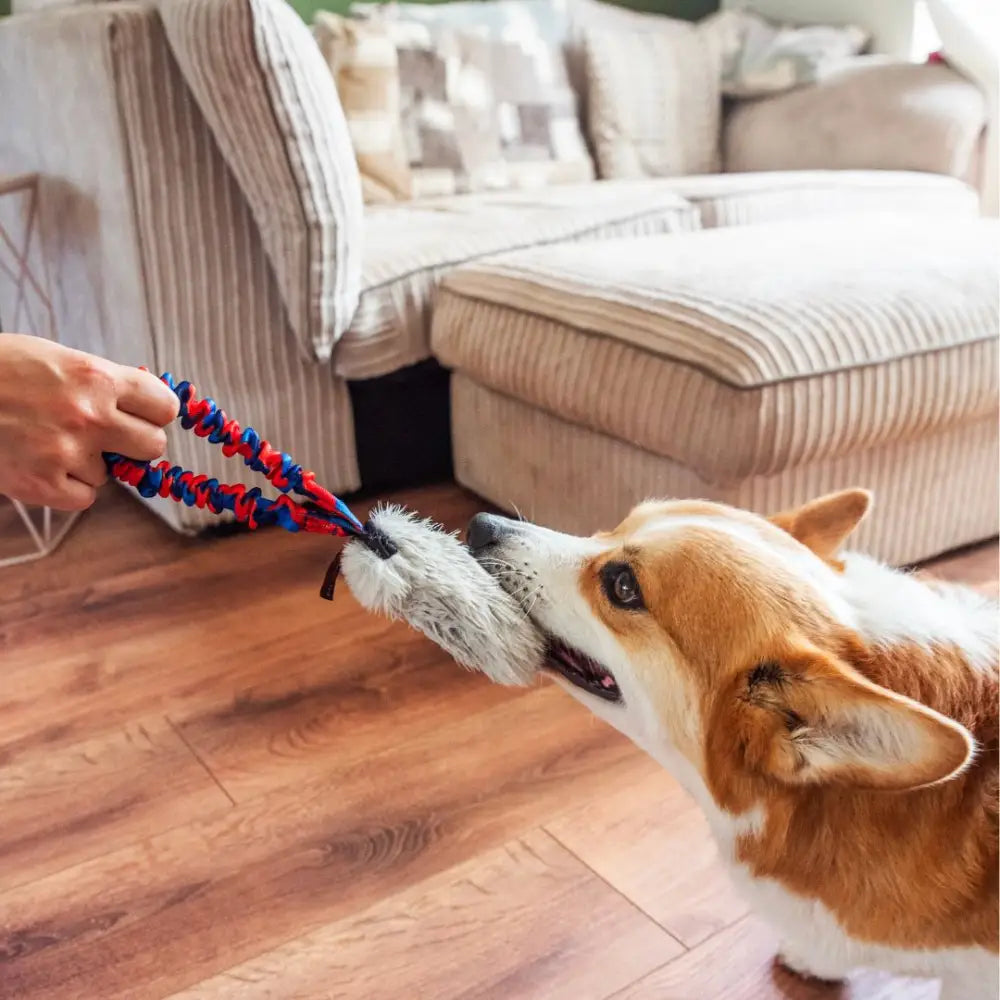 Faux Fur Pocket Bungee Squeaker - Bungee Tug Toy