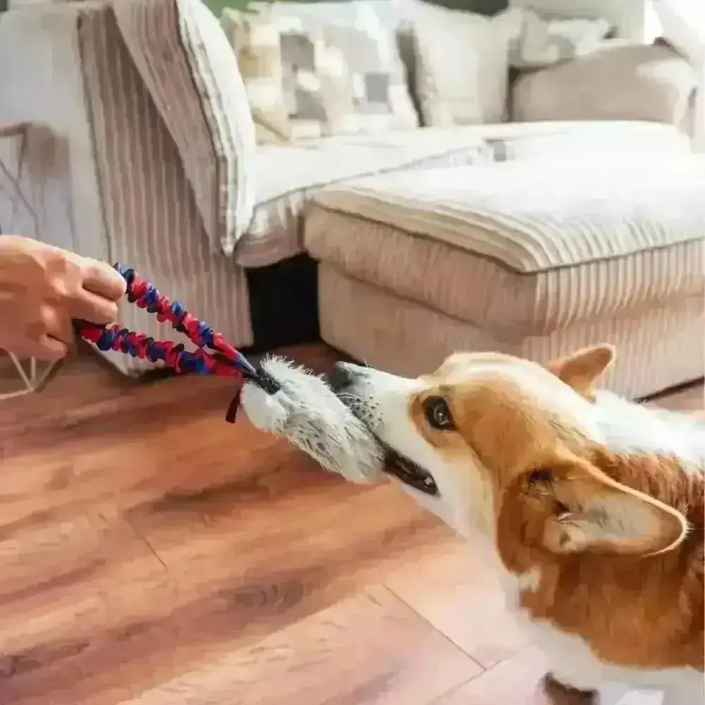 Red and blue braided rope dog toy with black handle, durable nylon, for active pets