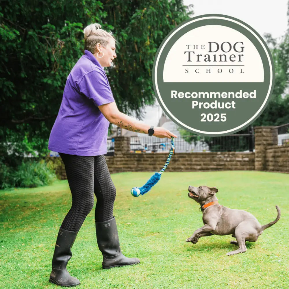 Blue and teal Fauxtastic PowerBall Bungee Tug braided dog toy with ball