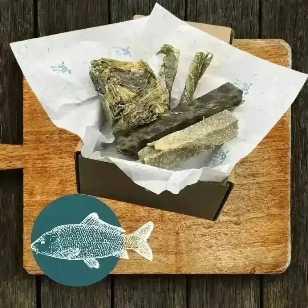 Wooden cutting board with large wolf fish stick design in The Fish Chew Box