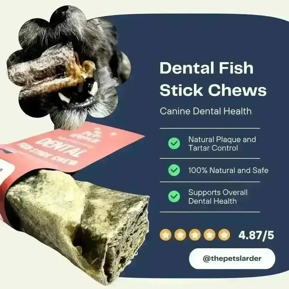 Fish Stick Chew for Dogs with textured surface, natural material, and plaque control