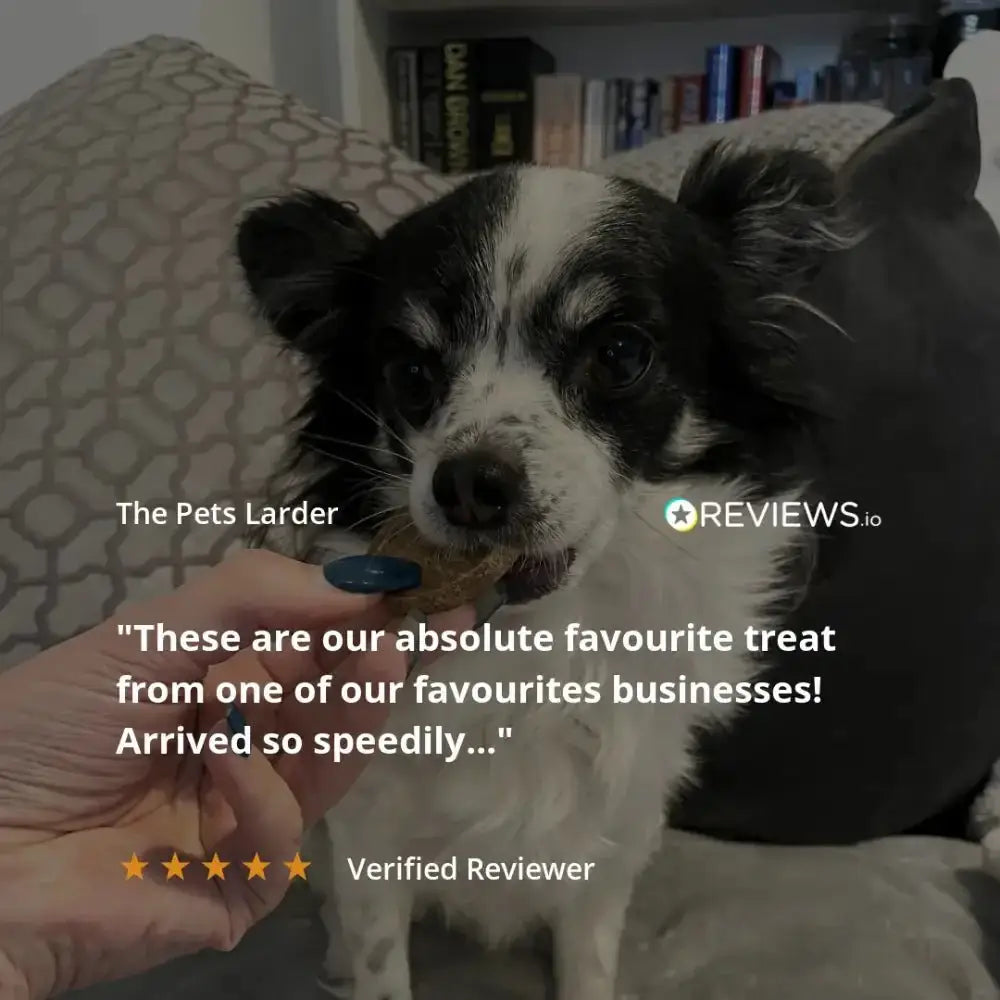 Black and white ceramic dog treat dispenser with paw print lid for Fish Twirl Chew for Dogs
