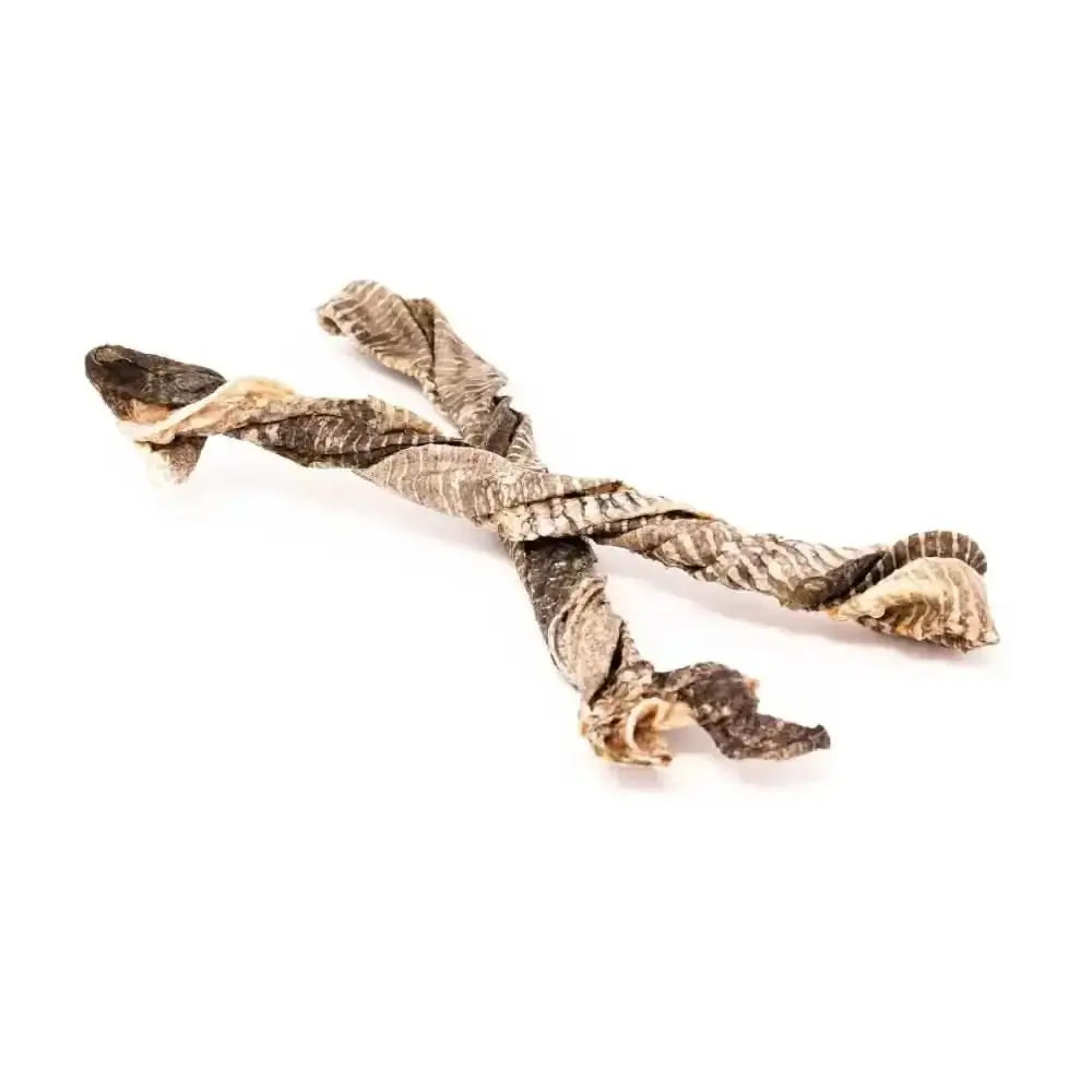 Dried snake skin chew toy for dogs, part of Fish Twirl Chews collection, textured scales