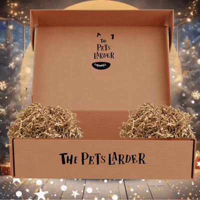 Fishy Feast Christmas Box For Dogs