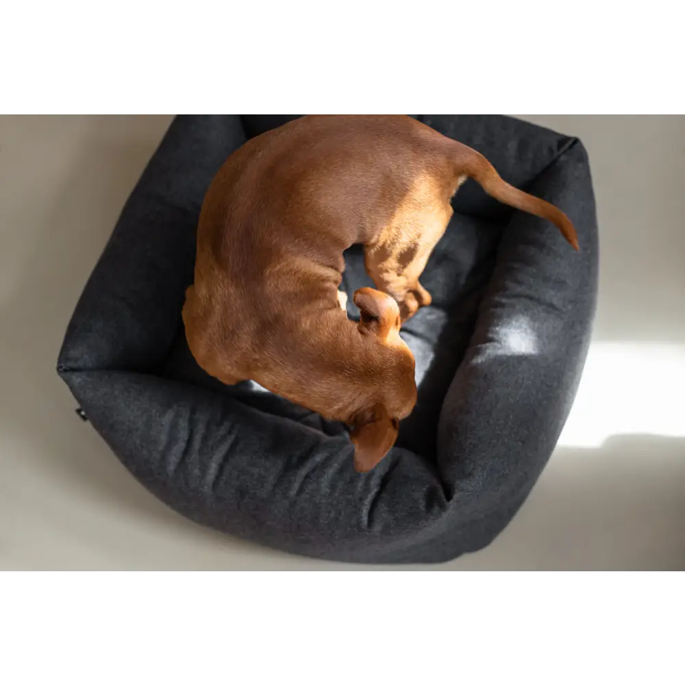 Fort - Bolster Bed