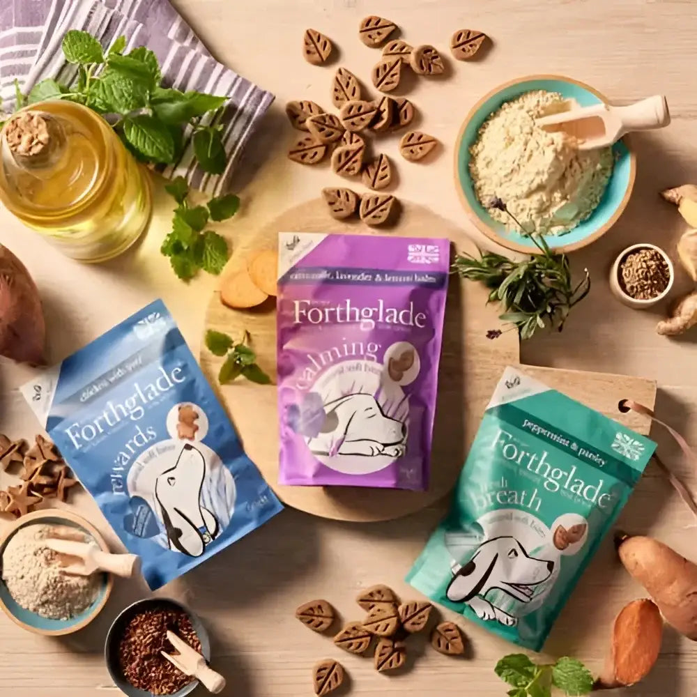 Forthglade Calming Soft Bites with Lemon Balm and Peppermint Ginger Dog Treats