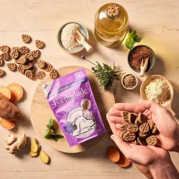 Forthglade Calming Soft Bites With Turkey, Camomile, Lavender & Lemon Balm Natural Dog Treats