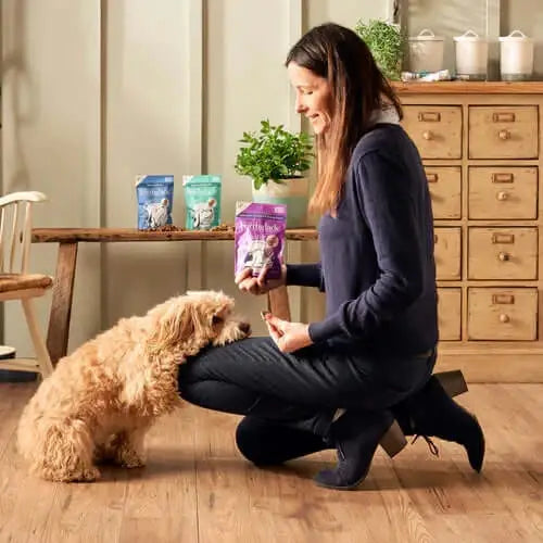 Forthglade Calming Soft Bites With Turkey, Camomile, Lavender & Lemon Balm Natural Dog Treats